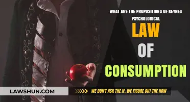 Keynes' Psychological Law of Consumption: Core Propositions Explained