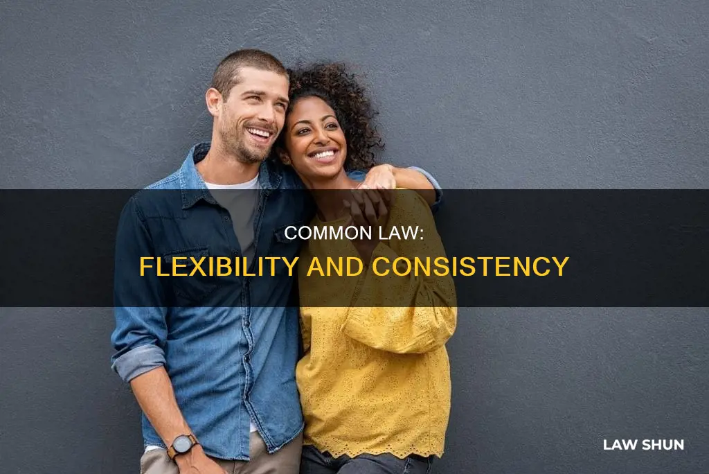 what are the pros a system of common law