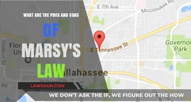 Marsy's Law: Balancing Victims' Rights and Legal Fairness – Pros & Cons