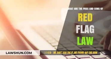 Red Flag Laws: Balancing Public Safety and Individual Rights