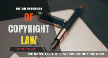 Understanding Copyright Law: Key Provisions and Protections Explained
