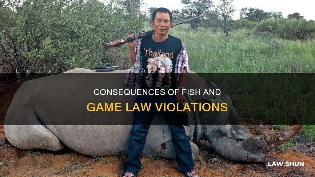 what are the punishments for breaking fish and game laws