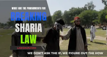 Sharia Law Punishments: Understanding the Strict Islamic Religious Law