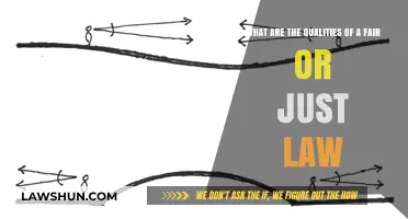 Upholding Justice: Key Qualities of Fair and Just Laws