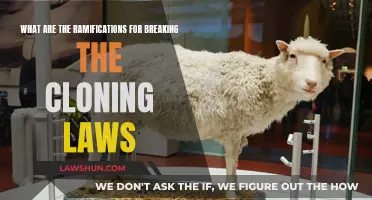 Cloning Laws: Breaking Them Has Dire Consequences