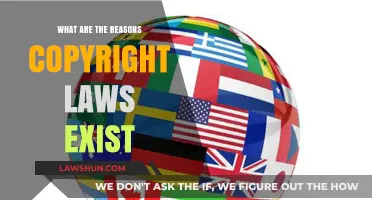 Why Copyright Laws Matter: Protecting Creativity and Innovation Globally
