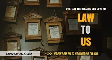 Why God's Law: Understanding Divine Purpose and Human Guidance