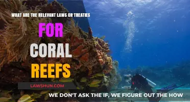 Protecting Coral Reefs: Key Laws and Treaties You Need to Know