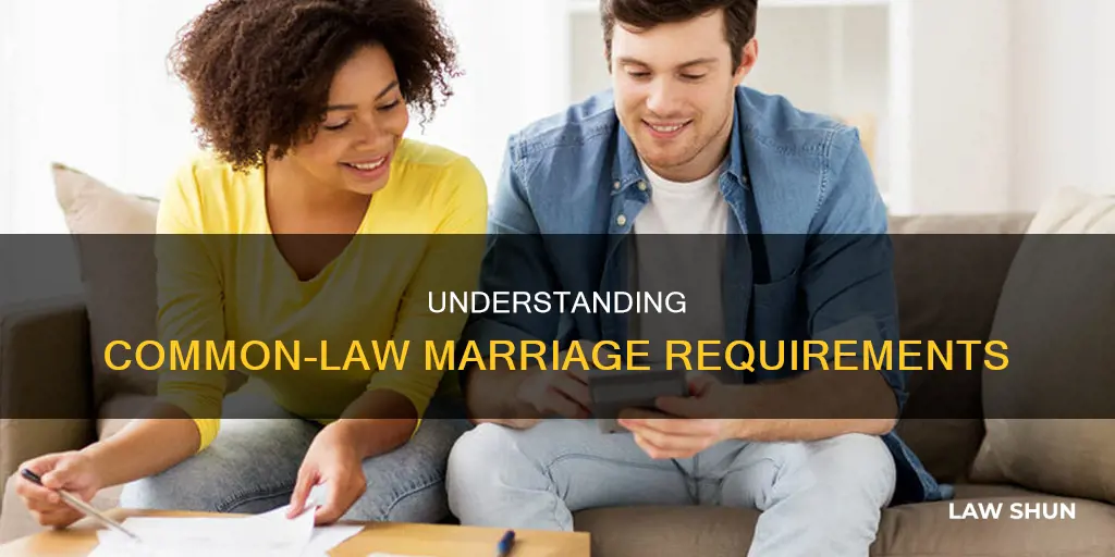 what are the requirements of a common-law marriage