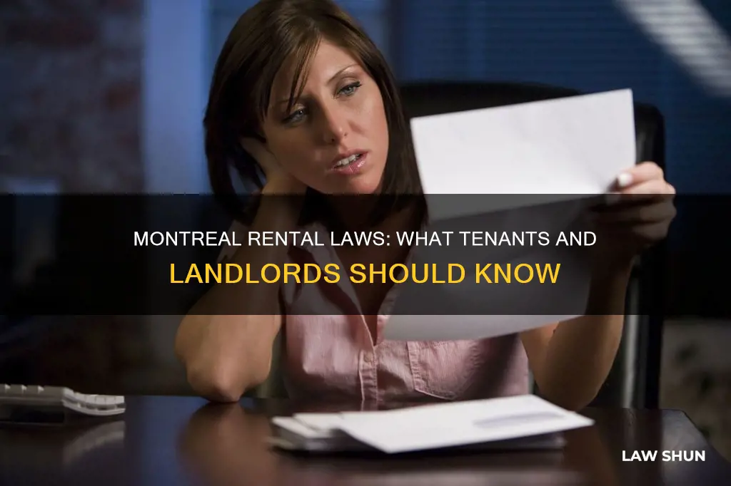 what are the residential rental law in montreal canada