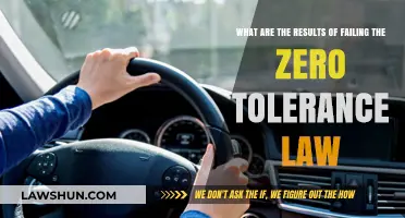 Consequences of Zero Tolerance Law Violations: Impact and Penalties Explained
