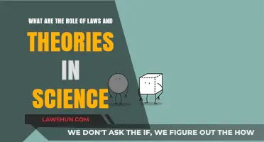 Understanding Science: The Crucial Role of Laws and Theories
