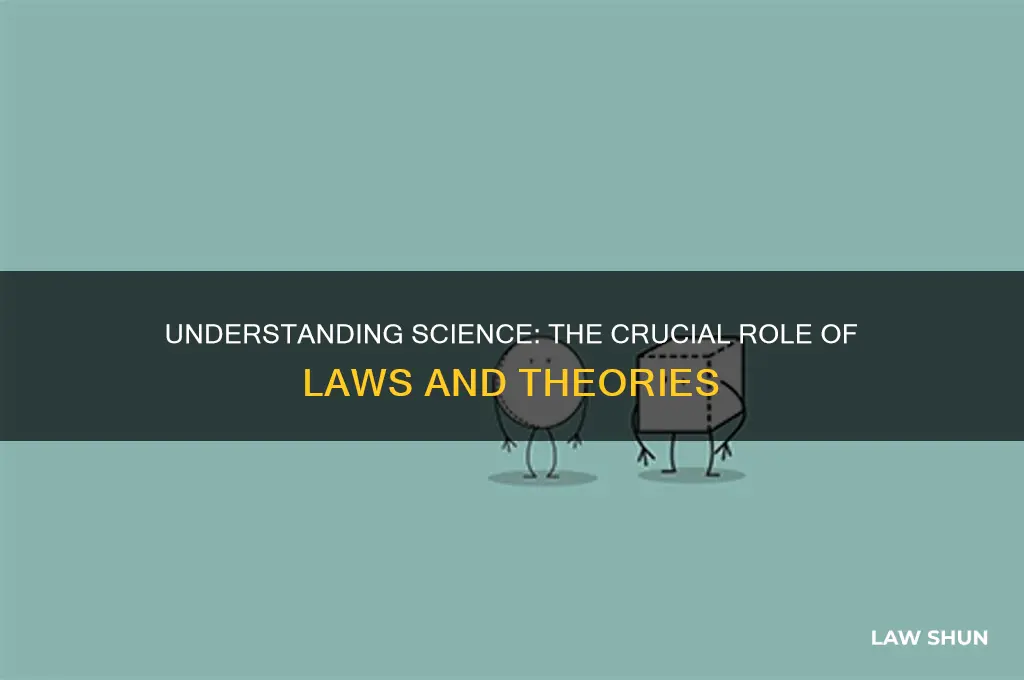what are the role of laws and theories in science