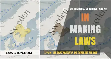 How Interest Groups Shape Legislation: Key Roles in Lawmaking