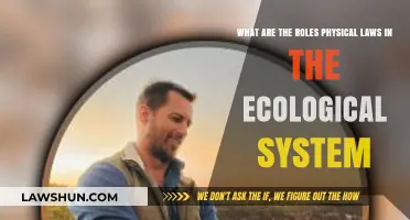 Physical Laws: Governing Forces in Ecological Systems and Life
