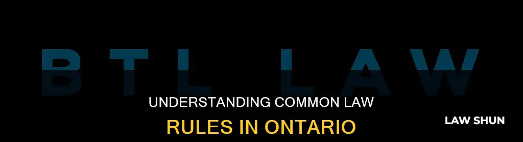what are the rules for common law in ontario
