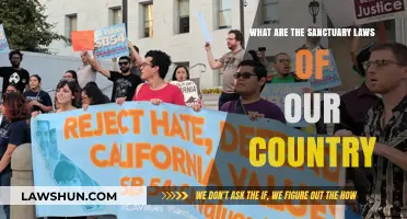 Understanding Sanctuary Laws: A Comprehensive Guide to U.S. Policies