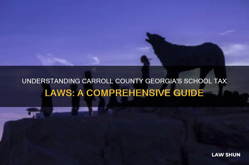 what are the schooltax laws in carroll county georgia