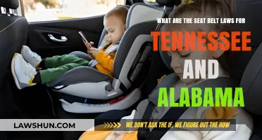 Tennessee & Alabama Seat Belt Laws: What You Need to Know