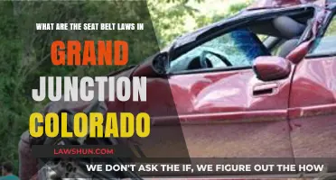 Grand Junction, Colorado Seat Belt Laws: What You Need to Know