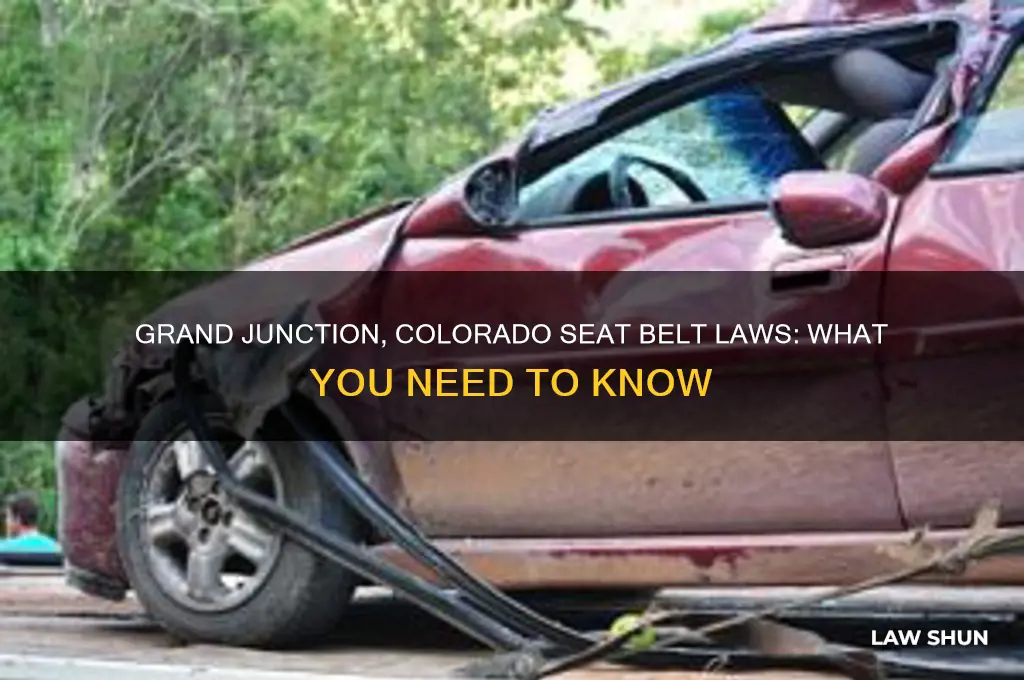 what are the seat belt laws in grand junction colorado