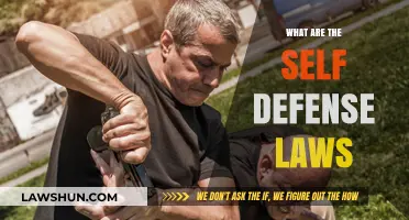 Understanding Self-Defense Laws: A Comprehensive Guide