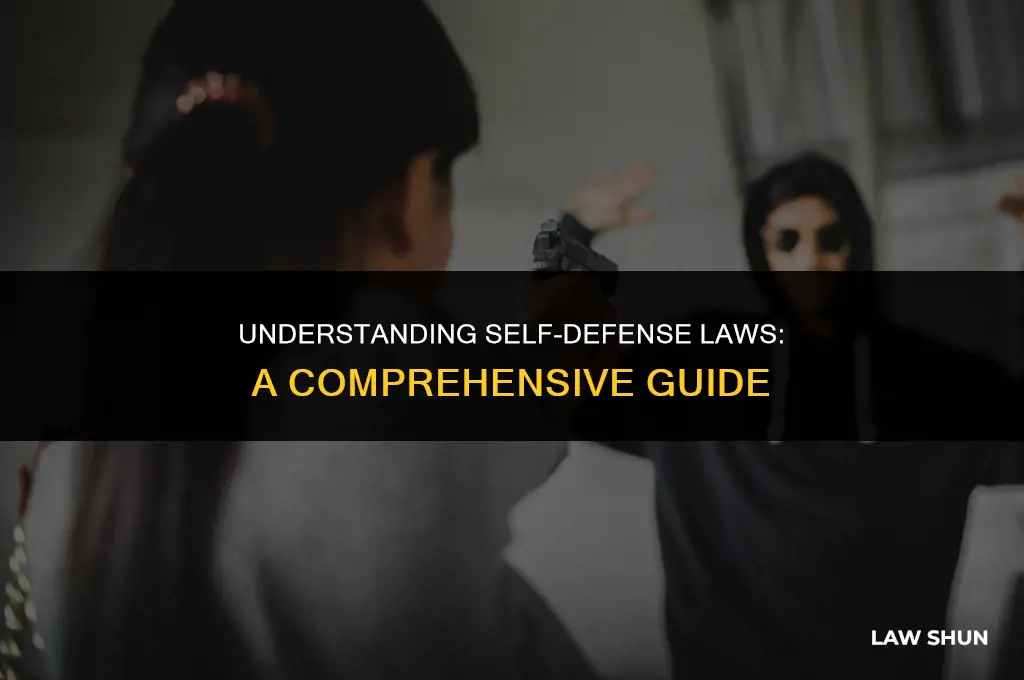 what are the self defense laws