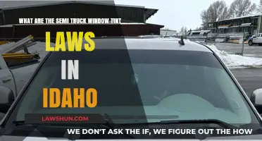 Idaho Semi Truck Window Tint Laws: Regulations and Compliance Guide