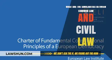 Common Law and Civil Law: Similarities and Shared Roots
