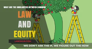 Equity and Common Law: What's the Common Thread?
