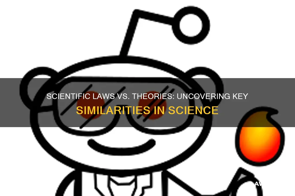 what are the similarities between scientific law and scientific theory