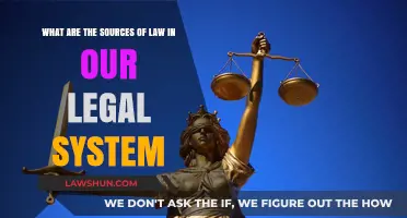 Exploring the Foundations: Key Sources of Law in Our Legal System