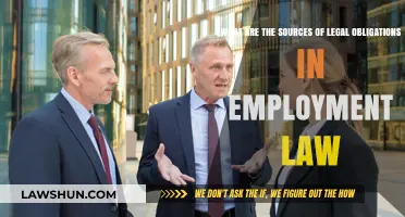 Understanding Employment Law: Key Sources of Legal Obligations Explained