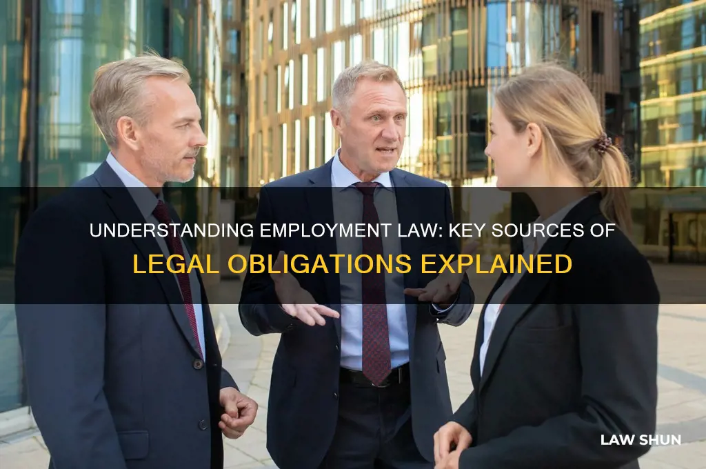 what are the sources of legal obligations in employment law