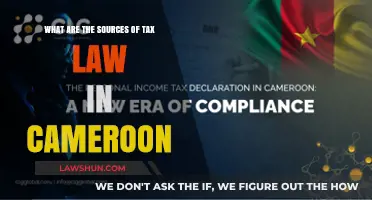 Tax Law Sources: Cameroon's Legal Framework