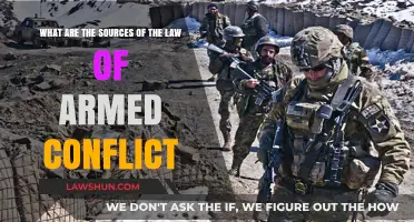 Exploring the Origins of the Law of Armed Conflict
