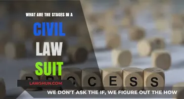 Understanding the Key Stages in a Civil Law Suit Process
