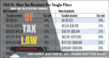 Tax Law Basics: Statutory Sources Explained