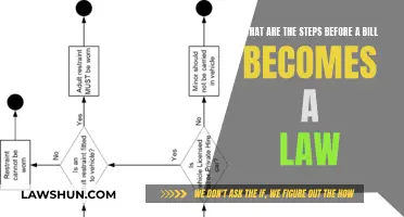 Understanding the Process: Bill to Law