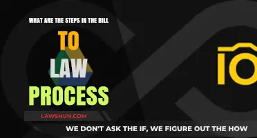 From Bill to Law: Understanding the Legislative Process Steps