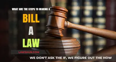 From Proposal to Law: The Step-by-Step Process of Passing a Bill