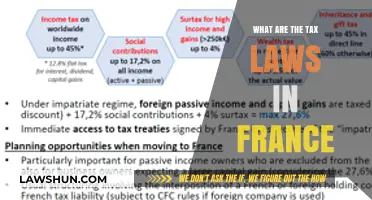 Understanding France's Tax Laws: A Guide