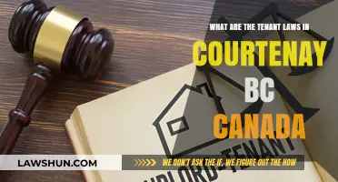 Tenant Laws in Courtenay, BC: Know Your Rights