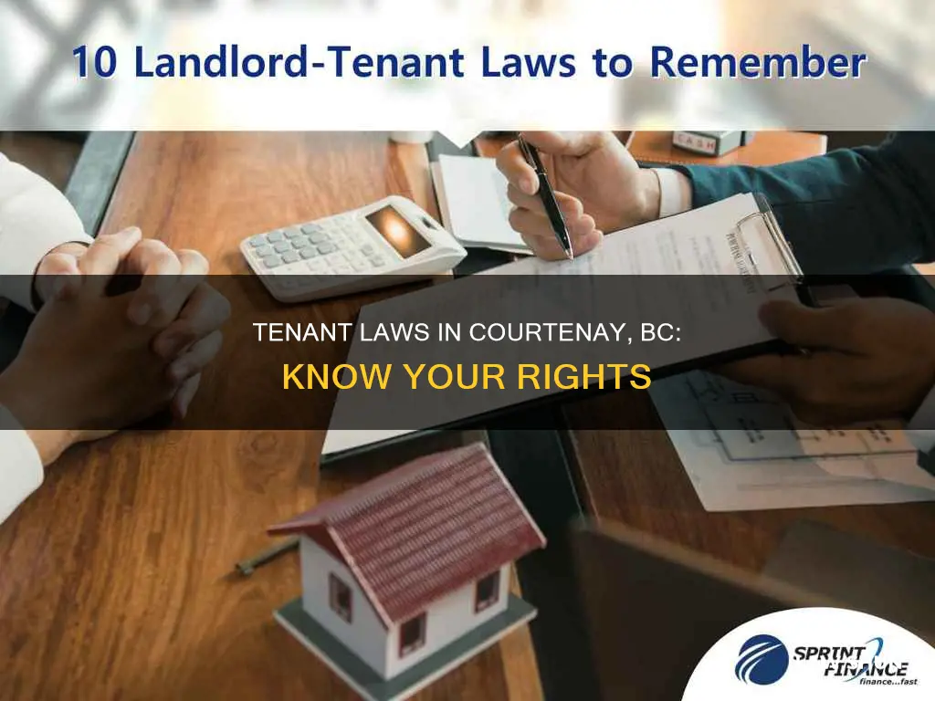 what are the tenant laws in courtenay bc canada