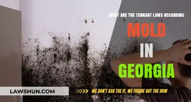 Georgia Tenant Rights: Understanding Mold Laws and Your Protections
