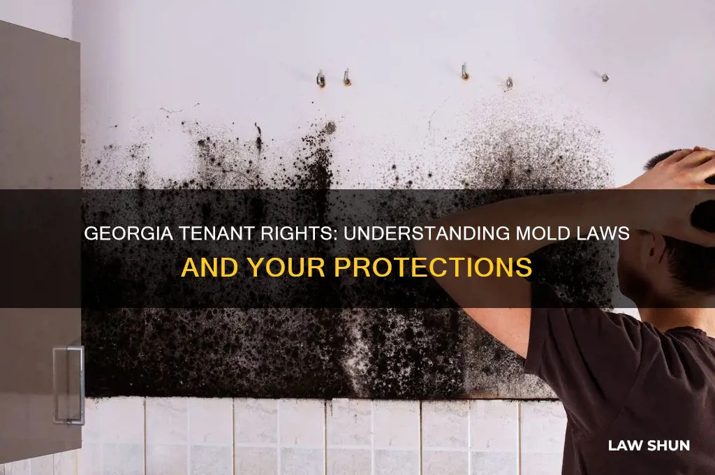 what are the tennant laws regarding mold in georgia
