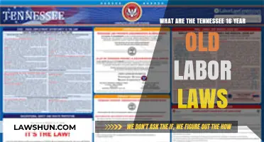 Tennessee's 16-Year-Old Labor Laws: Work Hours, Restrictions, and Rights