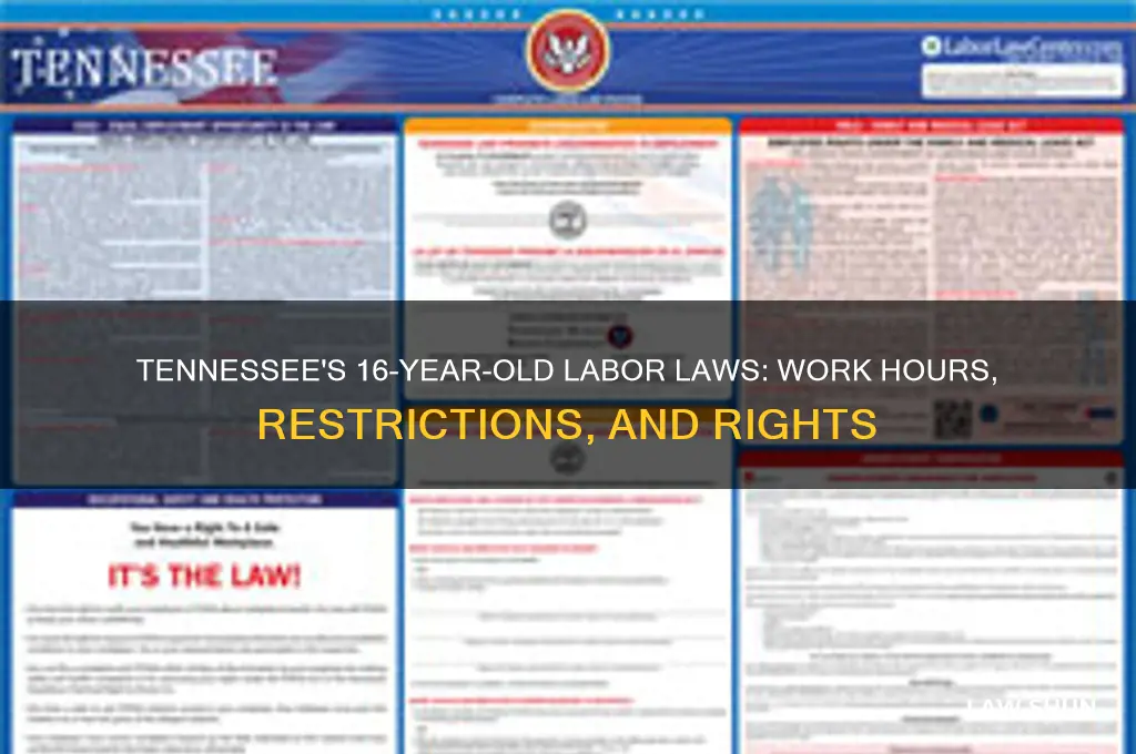 what are the tennessee 16 year old labor laws