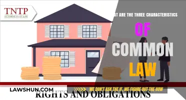Key Characteristics of Common Law