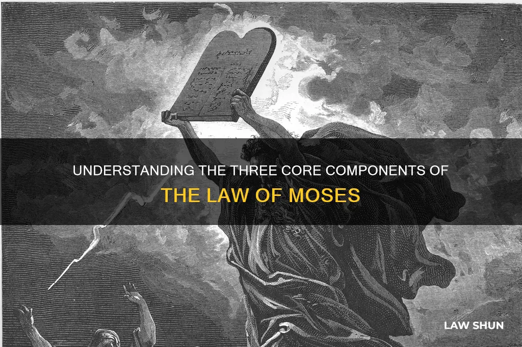 what are the three components of the law of moses